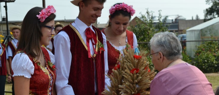 Rolnik szukał żony na dożynkach - Zdjęcie główne