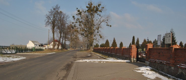 Jest zgoda na wycięcie - Zdjęcie główne