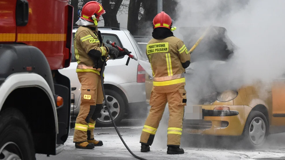 Gostyńscy strażacy znaleźli się tam przez przypadek. Wyręczyli właściciela w gaszeniu pożaru - Zdjęcie główne