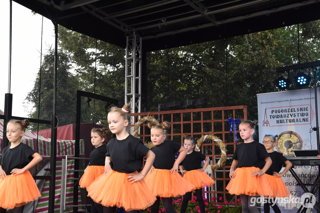 Dożynki w Elżbietkowie. Tradycji stało się zadość