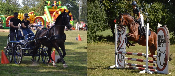 W koniach jest coraz więcej elegancji, w jeźdźcach lepsze podejście - Zdjęcie główne
