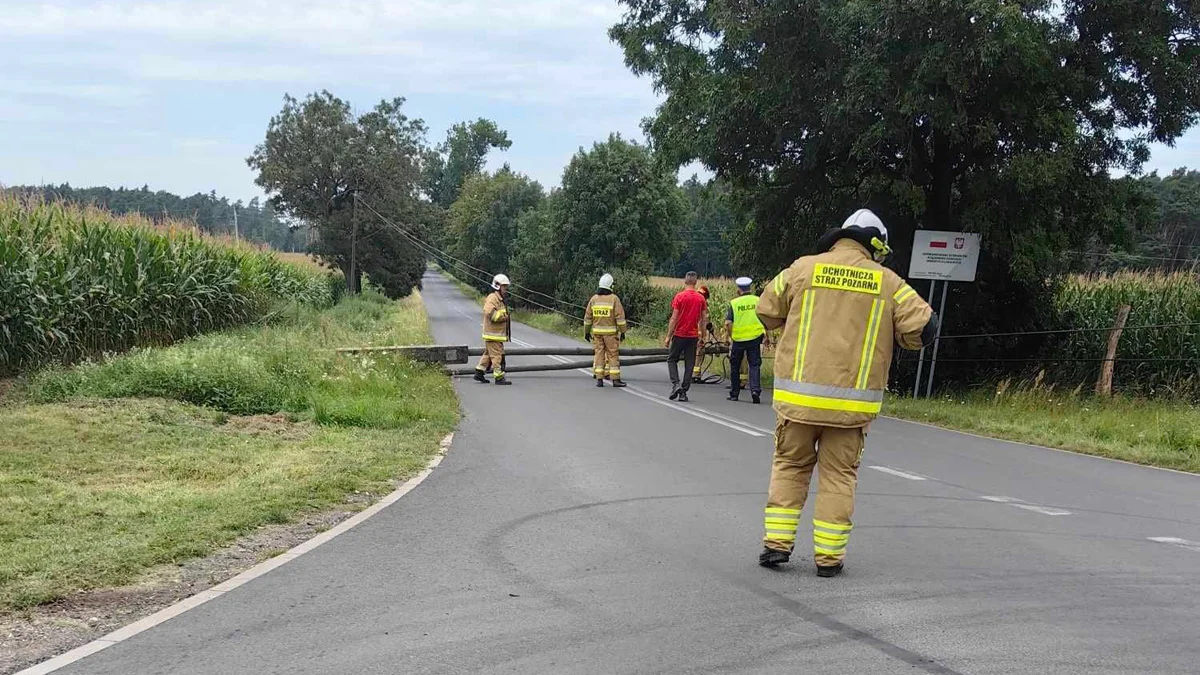 Traktorzysta z gm. Pępowo przewrócił 5 słupów. Zablokował drogę. Gostyńska policja wezwała na pomoc straż pożarną  - Zdjęcie główne