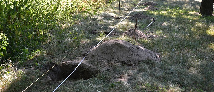 Rozpoczęli stawianie ogrodzenia - Zdjęcie główne