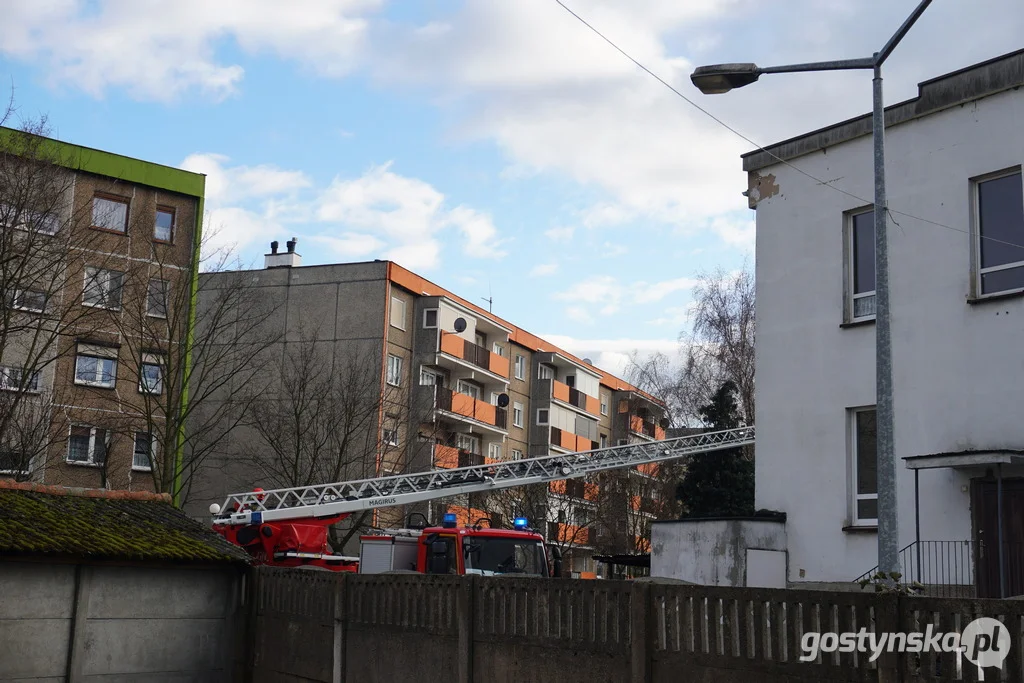 Uszkodzone ponad 10-metrowe drzewo mogło być prawdziwym zagrożeniem