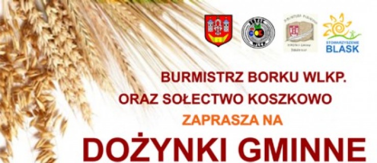 Borek Wlkp. Dożynki Gminne 2014 - Zdjęcie główne