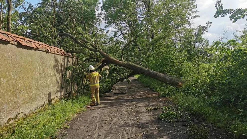 Burze, porywisty wiatr i intensywne opady w zachodniej Polsce. IMiGW wydało ostrzeżenie meteorologiczne dla Gostynia, Jarocina, Pleszewa, Rawicza i Krotoszyna - Zdjęcie główne