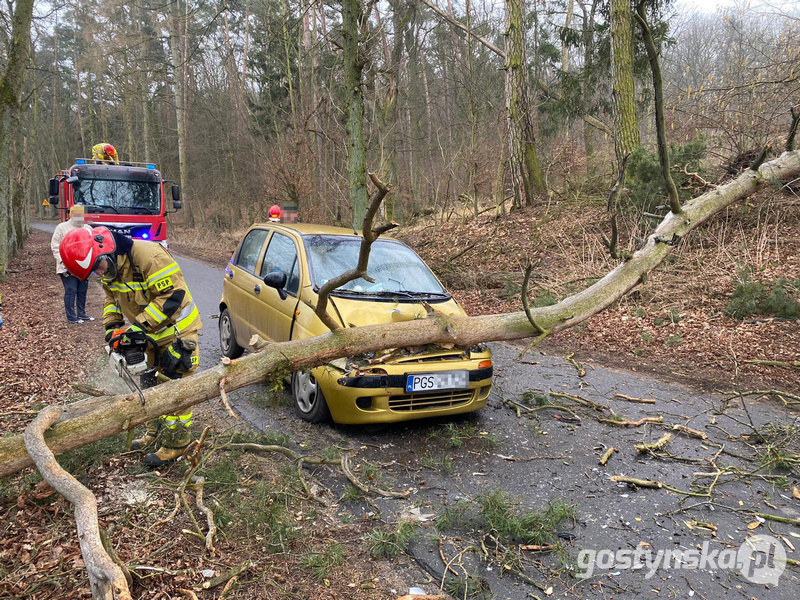 Klony. Drzewo przewróciło się na auto 