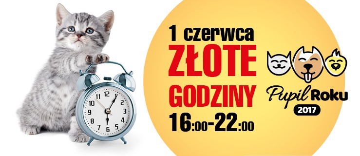 Złote Godziny dla Pupila! Głosuj dziś - Zdjęcie główne