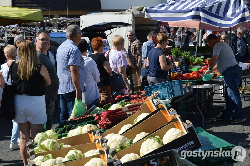 Targ w Gostyniu. Jakie są ceny nowalijek na gostyńskim targowisku? Oto ceny najbardziej poszukiwanych warzyw i owoców - Zdjęcie główne