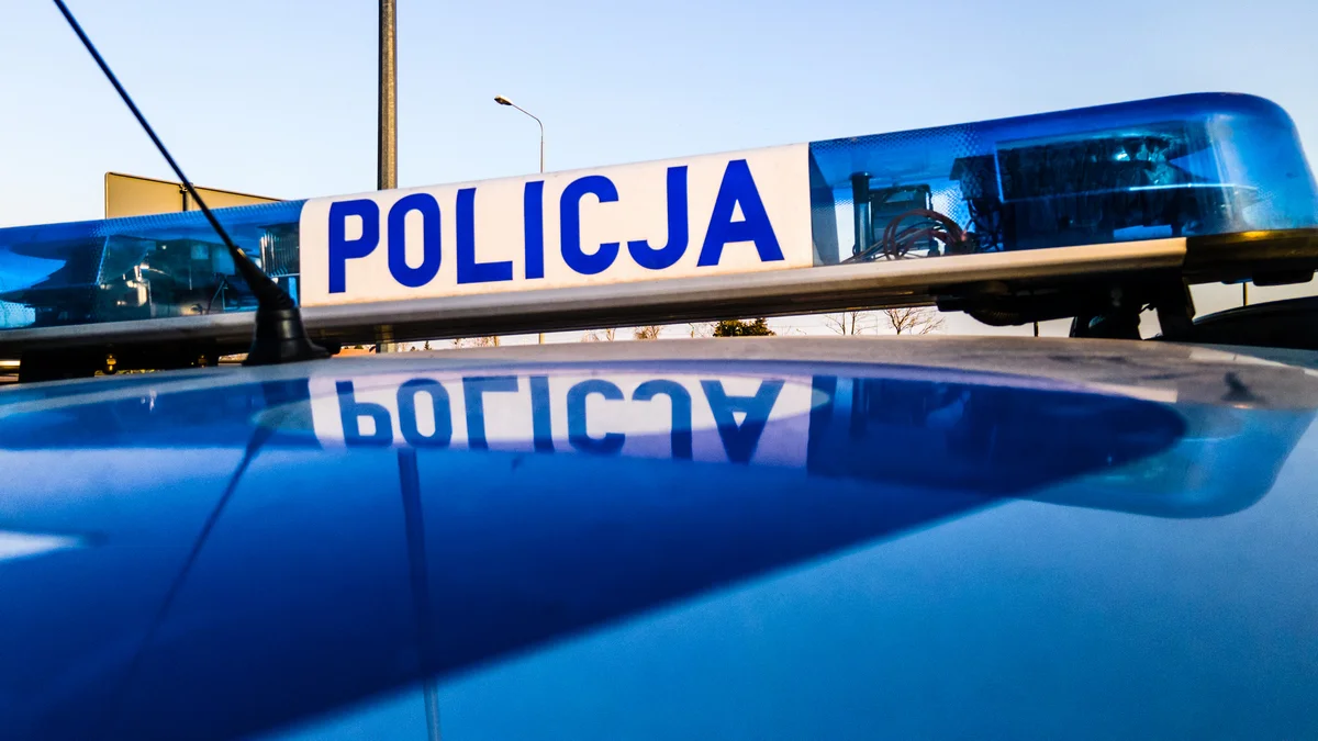 Policja ustala, do kogo należą auta, którymi kierowali pijani mężczyźni zatrzymani w Gostyniu i w Dusinie - Zdjęcie główne