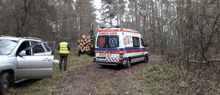 Drzewo przygniotło pracownika. Na miejscu LPR - Zdjęcie główne