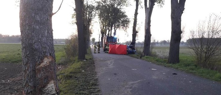 Uderzył samochodem w drzewo i zginął na miejscu - Zdjęcie główne
