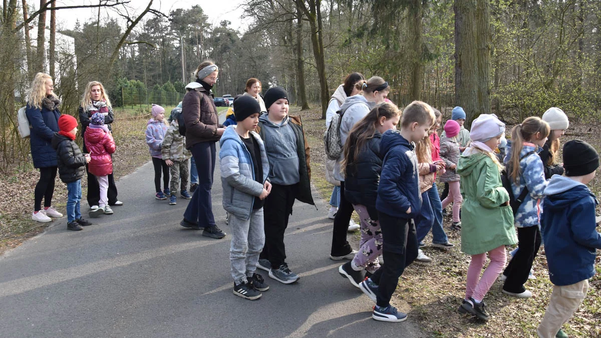 Obserwowali dzięcioły, daniele i rośliny w wiosennym lesie. Były niespodzianki