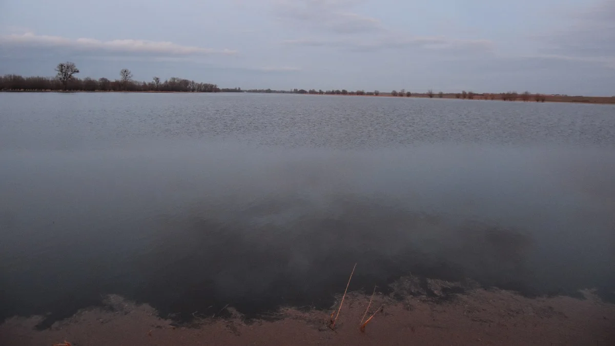 polecany artykuł