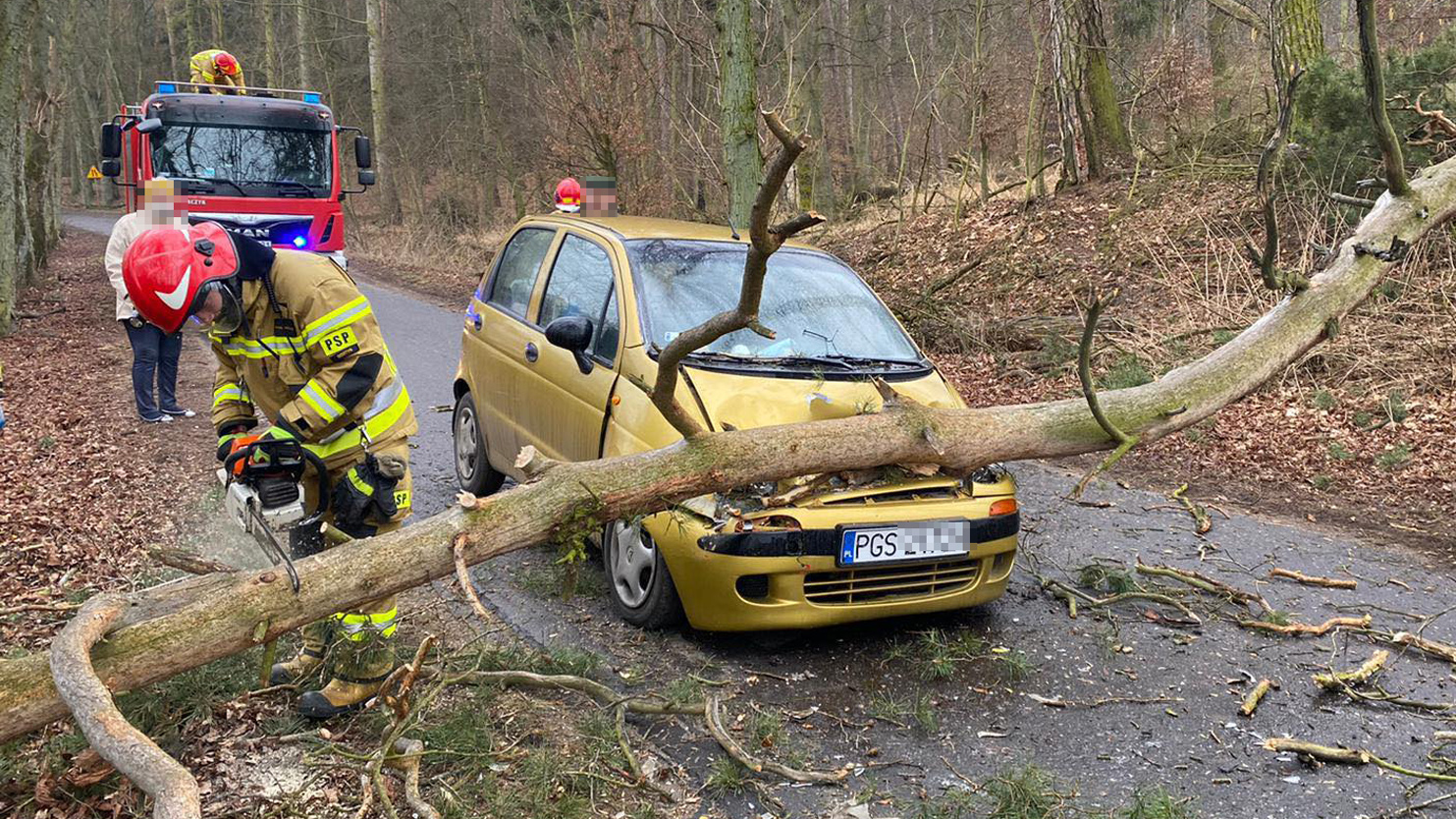 Drzewo przewróciło się na przejeżdżające auto Gostynska
