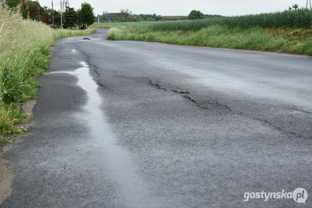 Gmina Gostyń. Polna droga w Malewie, w kierunku Szczodrochowa