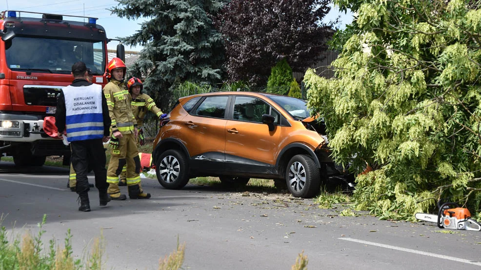 Droga Gostyń-Poniec. Samochód uderzył w drzewo. Jedna osoba ranna - Zdjęcie główne