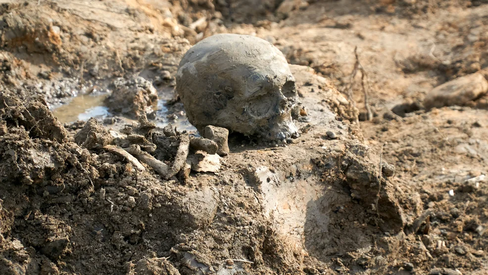 Znalezione w rowie szczątki należą do mieszkańca gminy Gostyń? Oględziny czaszki ujawniają nowe fakty - Zdjęcie główne