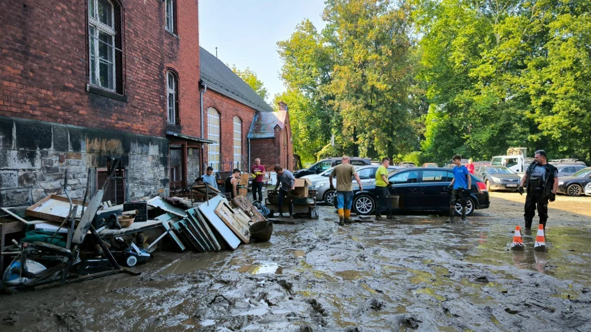 polecany artykuł