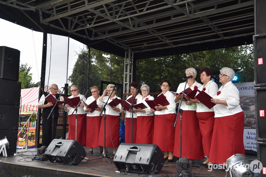 Dożynki w Elżbietkowie. Tradycji stało się zadość