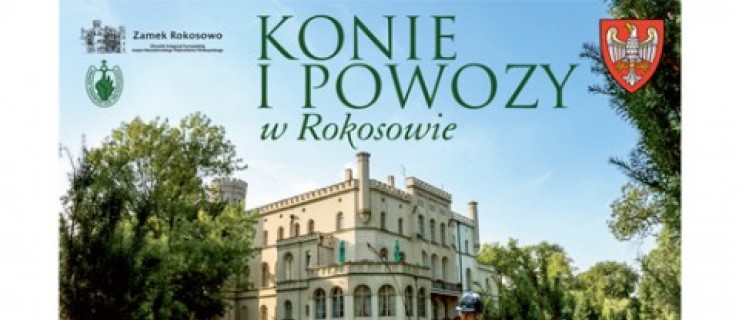  Poniec. Konie i powozy w Rokosowie  - Zdjęcie główne