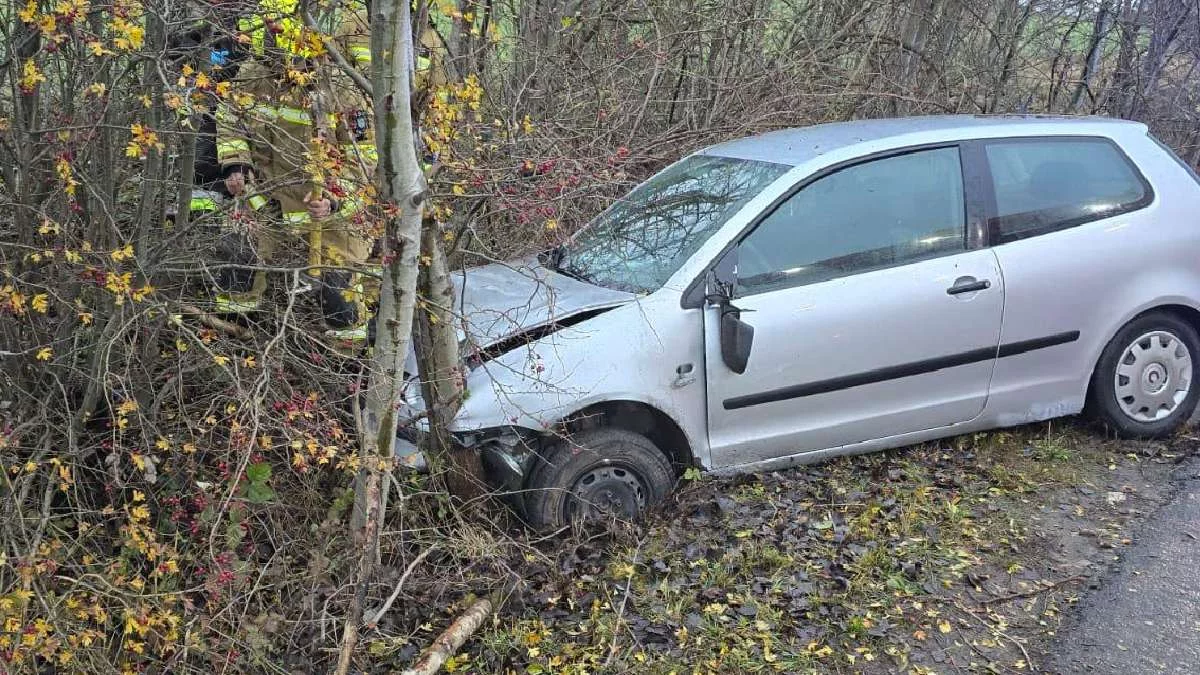 85-latek najpierw spowodował kolizję, potem uderzył w drzewo. Okazało się, że ma problemy ze słuchem - Zdjęcie główne