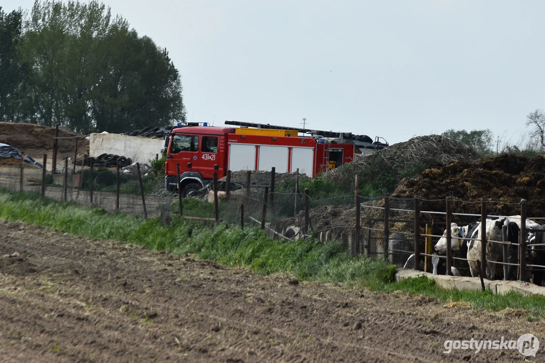 Pożar w Kunowie. Gęsty dym widoczny był z kilkudziesięciu kilometrów