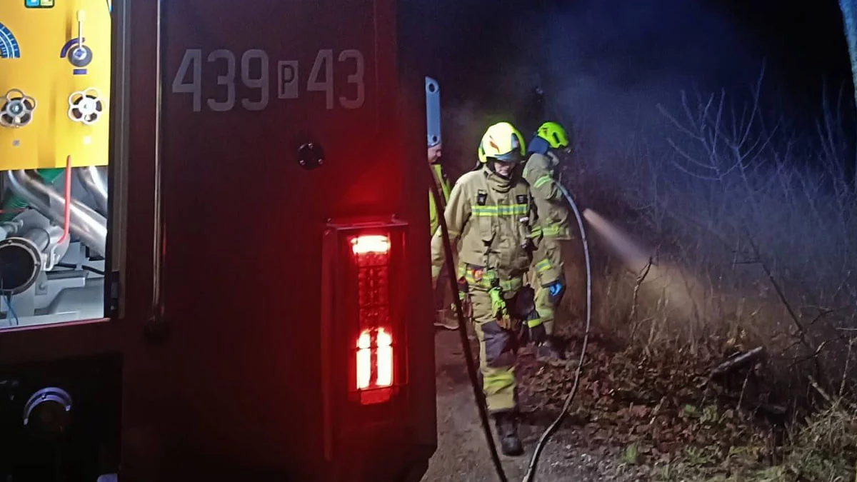 Wezwanie do płonącego żywopłotu, ogień pochłonął saunę