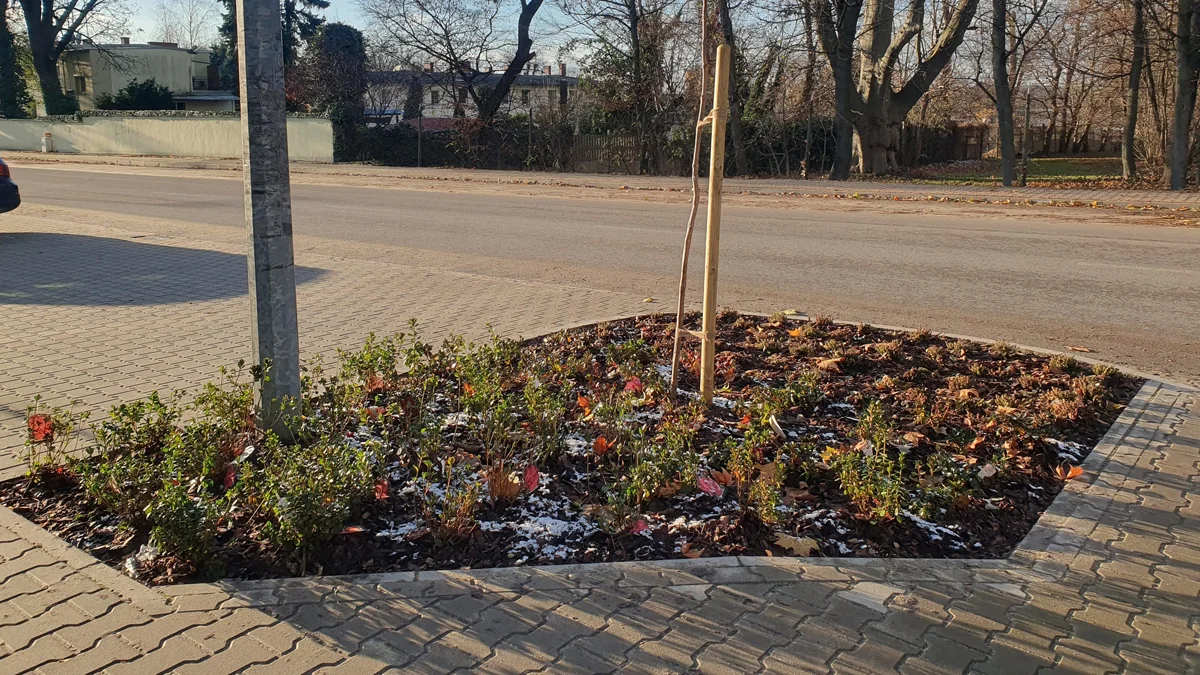 Zmienia się wizerunek Pudliszek. Zaczęli od skwerów - Zdjęcie główne