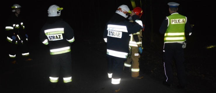 Od wczoraj przeczesywali okolicę w poszukiwaniu zaginionego - Zdjęcie główne