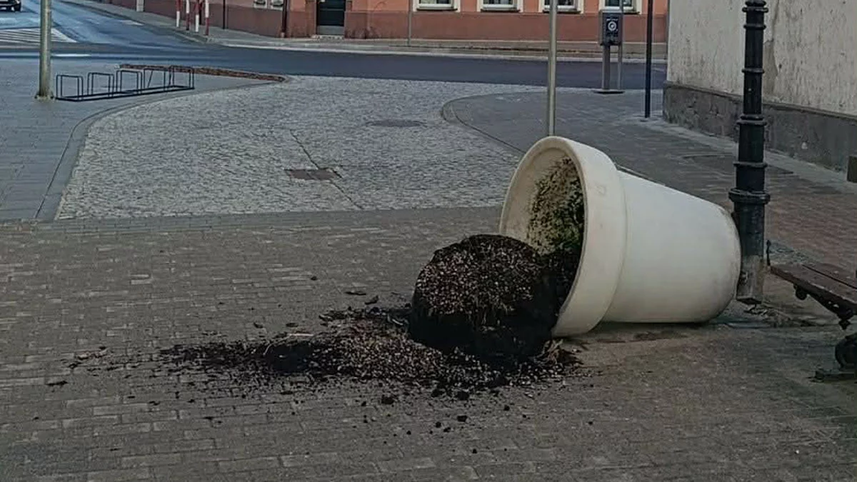 Pijany młodzieniec z zniszczył ławki i donice na deptaku. Podczas interwencji straży miejskiej jeszcze spał