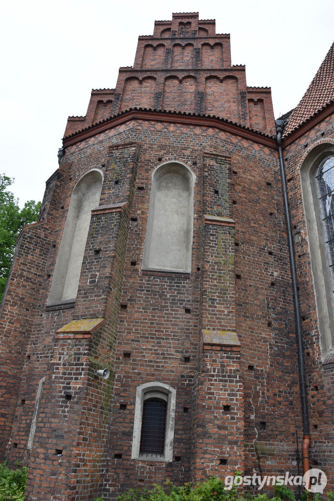 Gostyń. Tajemniczy, średniowieczny mur odkryto podczas renowacji północnej części kościoła