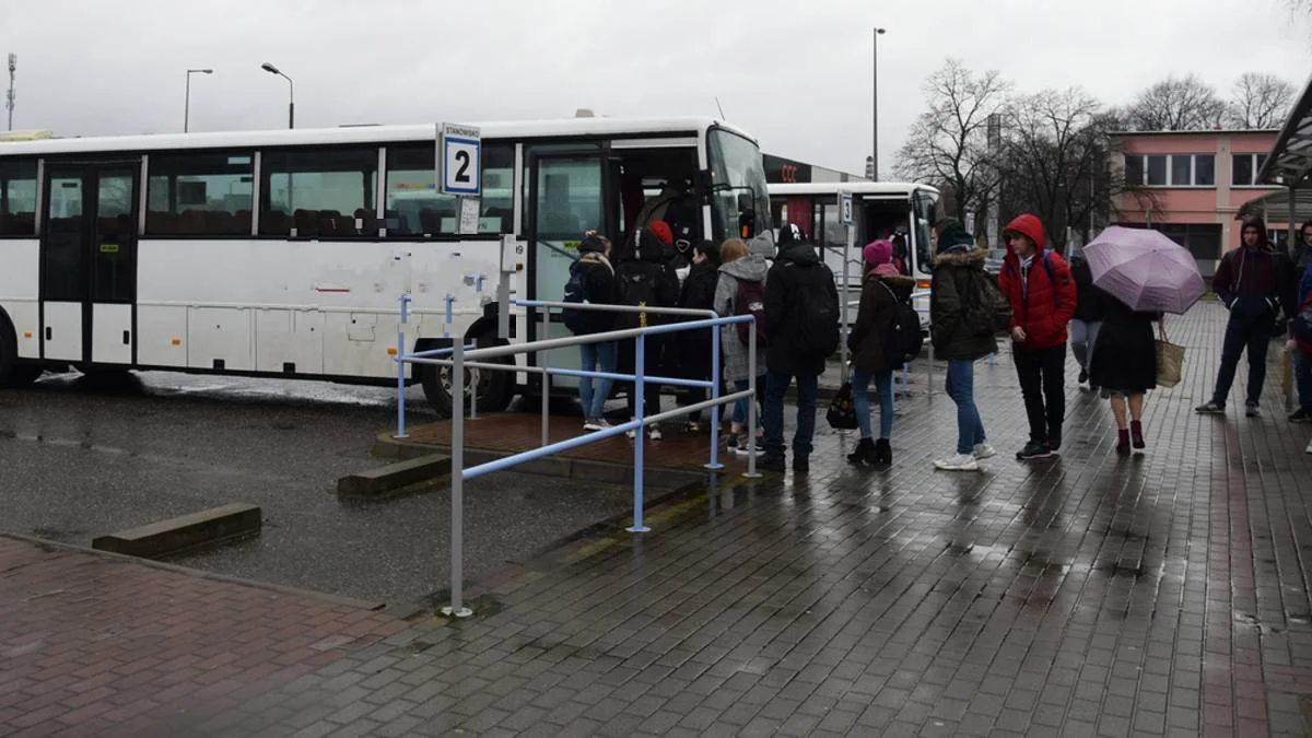 Jak sprawdzić stan techniczny autokaru, którym dziecko jedzie na ferie? - Zdjęcie główne