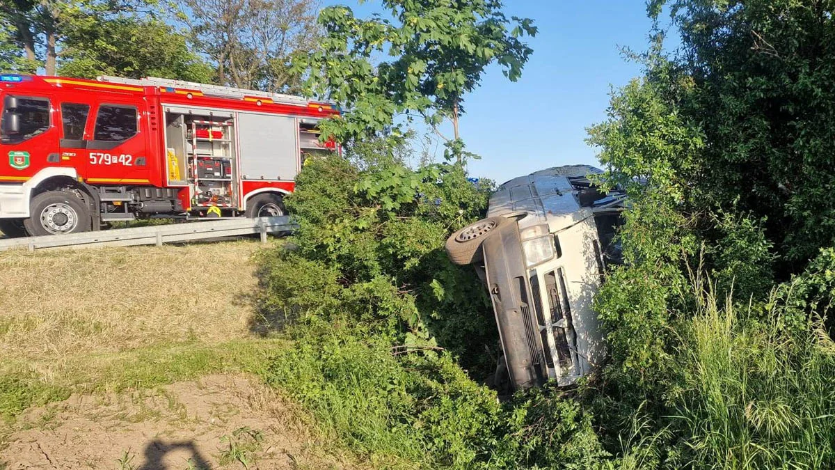 Kraksa na drodze wojewódzkiej 434. Bus wypadł z drogi - Zdjęcie główne