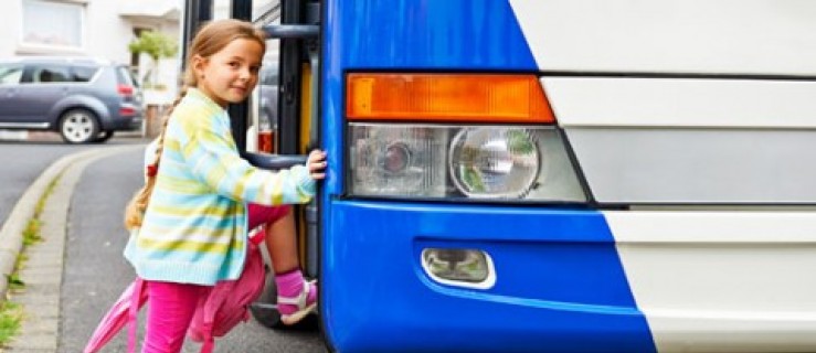 Borek Wlkp. Autobus się pospieszył? - Zdjęcie główne