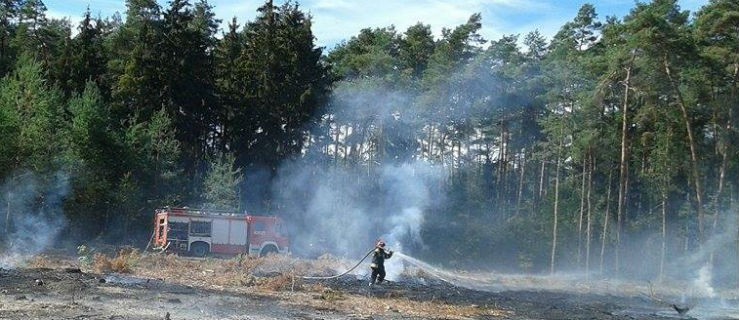 Płonie las.  Kilka jednostek strażaków pracuje na miejscu [AKTUALIZACJA] - Zdjęcie główne