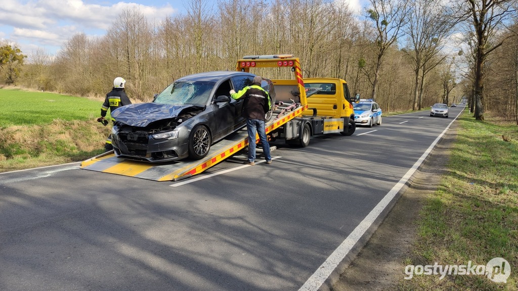 Na trasie Koszkowo-Studzianna samochód audi A 5 zderzył się z dziką zwierzyną