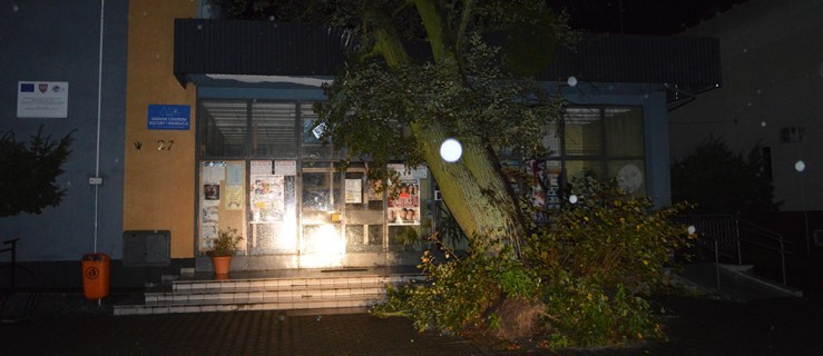 Orkan Ksawery zbiera żniwo. Drzewo przewróciło się na centrum kultury - Zdjęcie główne