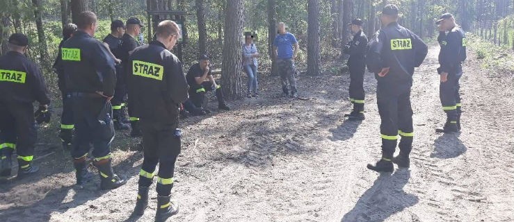 Policjanci i strażacy przeczesywali lasy. Użyto nawet drona - Zdjęcie główne