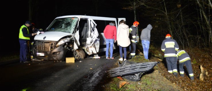 Bus uderzył w drzewo. Jechało nim 5 osób, jedna była zakleszczona - Zdjęcie główne