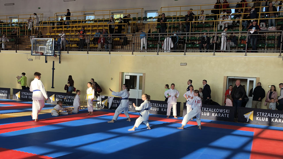 Karate Silver Cup