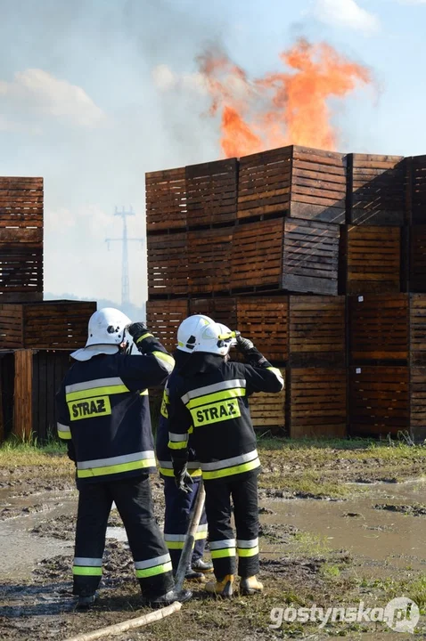 Na terenie powiatu gostyńskiego działa obecnie 91 jednostek OSP. Każdemu strażakowi ratownikowi OSP, który uczestniczył w działaniu ratowniczym, akcji ratowniczej, szkoleniu lub ćwiczeniu, przysługuje niezależnie od otrzymywanego wynagrodzenia, ekwiwalent pieniężny, który na wniosek wypłacany jest z budżetu gminy