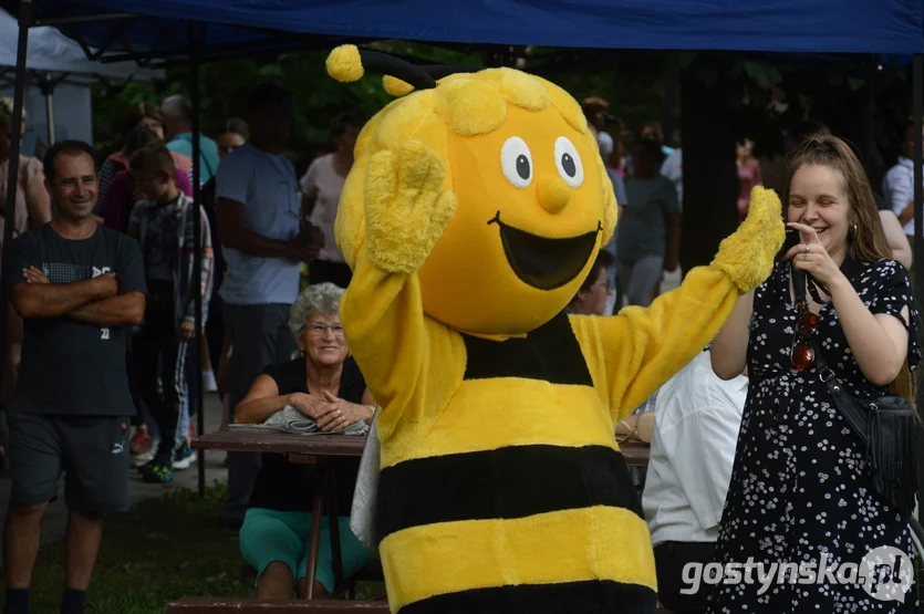 Wielki Dzień Pszczół w Krobi już za tydzień. Wtedy poznamy zwycięzców konkursu "Kwitnący ogród lub balkon" - Zdjęcie główne