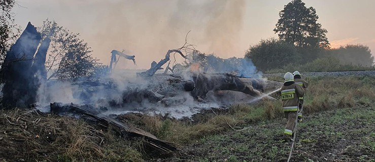 Drzewo zapaliło się dwa razy. Gęsty dym zauważyła kobieta z pociągu - Zdjęcie główne