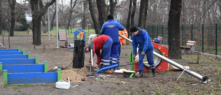 Zwierzaki mają teraz jaśniej - Zdjęcie główne