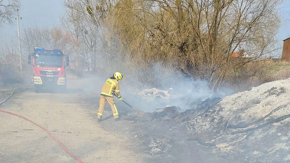 Pożar w Domachowie zauważyły osoby postronne.  I znowu trawa, i znowu krzewy - Zdjęcie główne