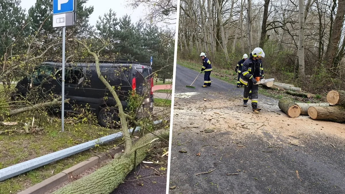 Groźnie było. Zerwana linia energetyczna, złamane drzewa, uszkodzone auto - Zdjęcie główne