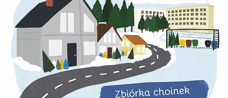 Poświąteczna zbiórka choinek - Zdjęcie główne