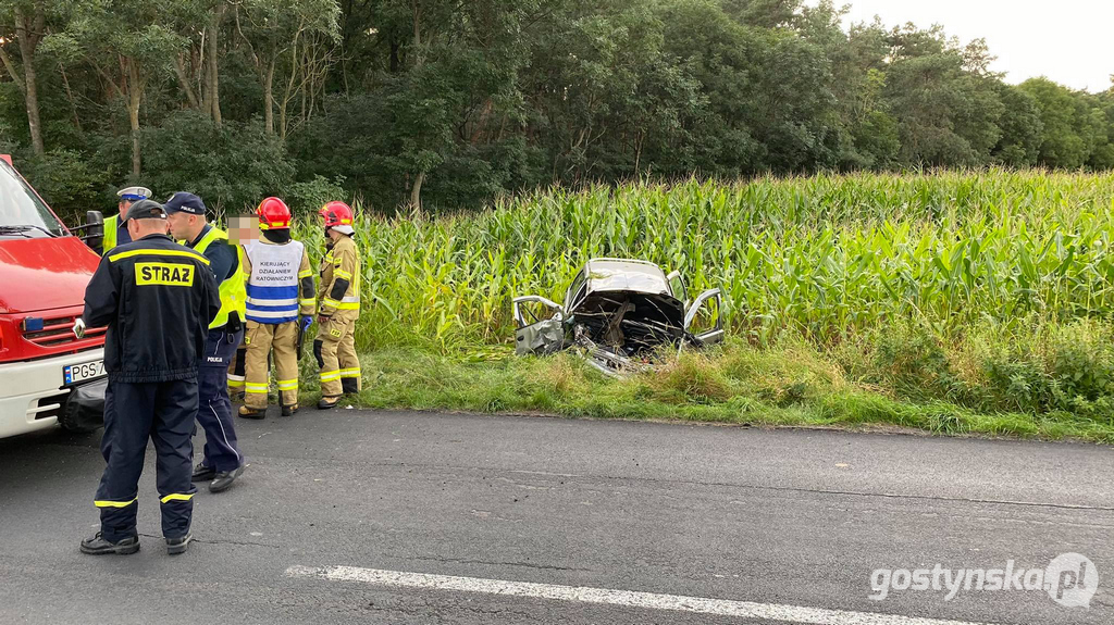 Poniec. Kolizja na drodze powiatowej Poniec-Gostyń, na wyjeździe z Drzewiec w kierunku Śmiłowa