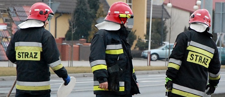 Konar tarasował przejazd. Straż usuwała zawalidrogę - Zdjęcie główne